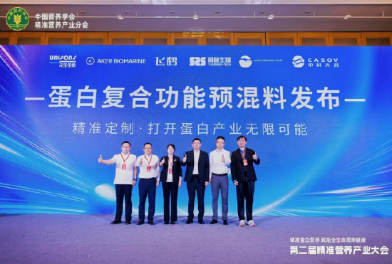 2026年电吉他市场盘点：最新潮流趋势解读